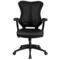 Emma and Oliver High Back Designer Mesh Executive Ergonomic Office Chair w/ Adjustable Arms